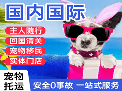 六盘水月照机场空运国际宠物托运 【国